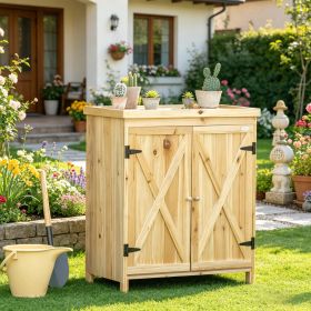Garden Storage Cabinet, Outdoor Tool Shed with Galvanized Top and Two Shelves