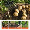 Garden Tools Gardening Pitchfork with Handle for Hay Potato