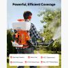 Backpack Fogger Sprayer, 63CC 3HP Engine, Gas Powered Fogger Sprayer with 4 Gallon Tank